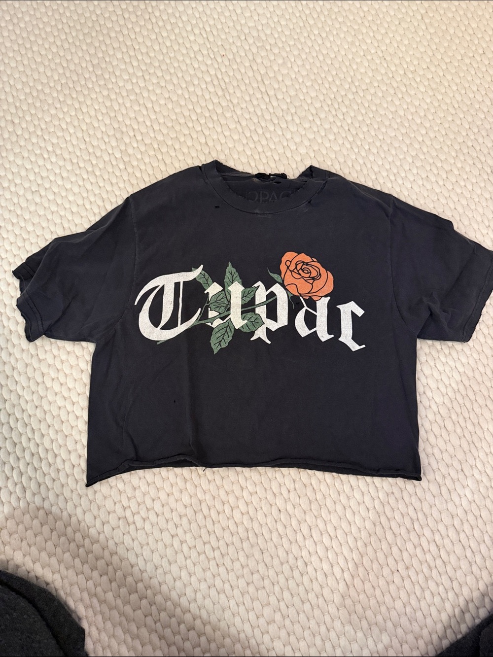Blue & Cream Black Cropped Graphic Tee with Rose Print